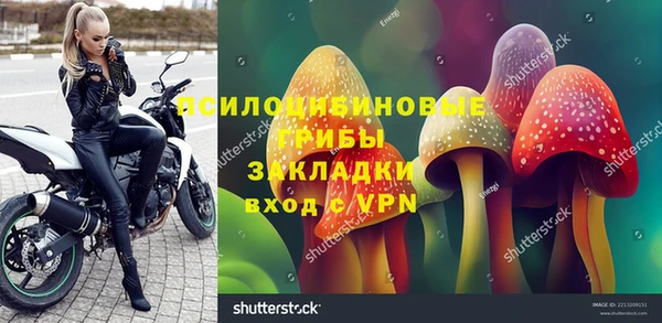 а пвп мука Инсар